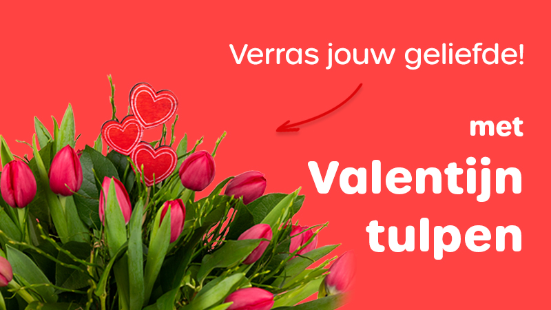 Normalisatie maak het plat Boekhouder Valentijn Bloemen Bezorgen | Valentijnsboeket Bestellen