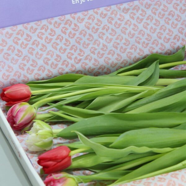 brievenbus tulpen dubbel gemengd
