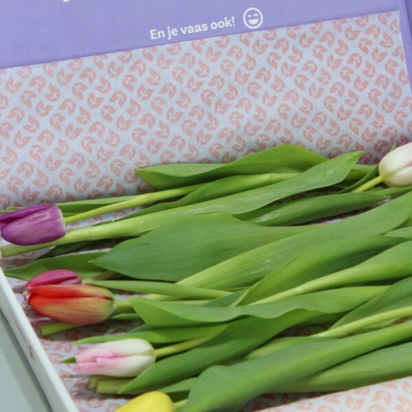 brievenbus tulpen gemengd