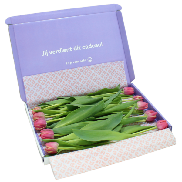 dubbele multicolour brievenbus tulpen