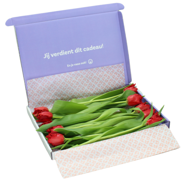 gefranjerde rode brievenbus tulpen