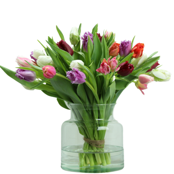gemengde exclusieve tulpen
