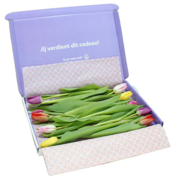 gemengde brievenbus tulpen