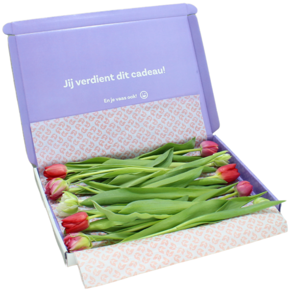 gemengde dubbele brievenbus tulpen