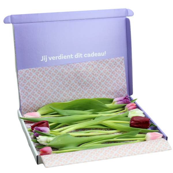 gemengde exclusieve brievenbus tulpen