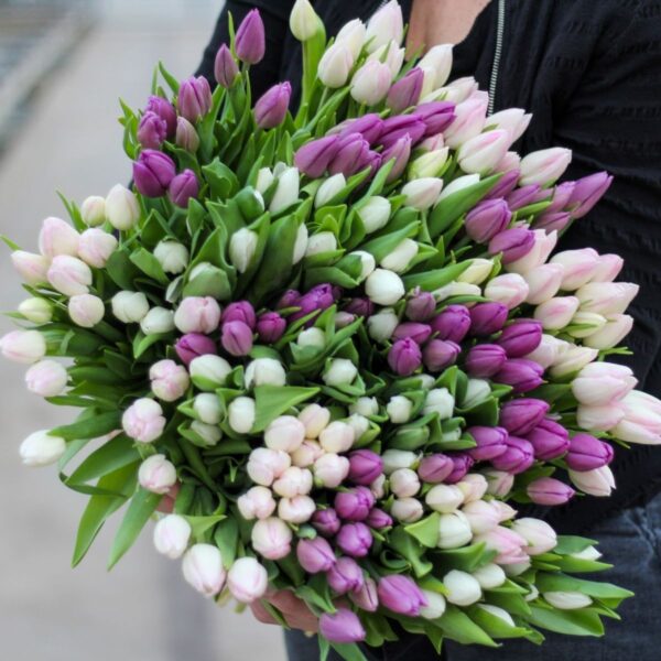 gemengde pastelkleurige tulpen xxl