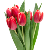 Moederdag