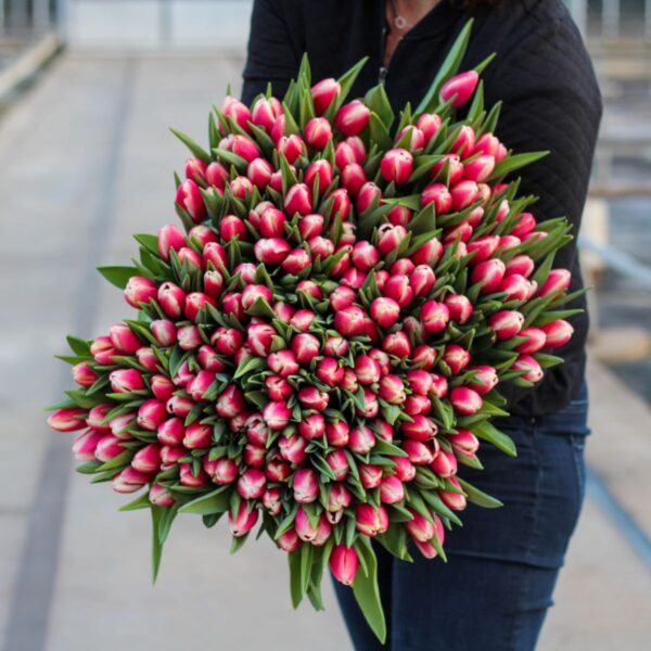 multicolour vrolijk tulpen xxl