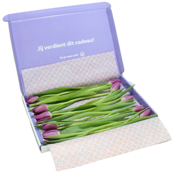 paarse brievenbus tulpen