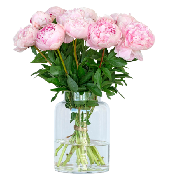 roze pioenrozen