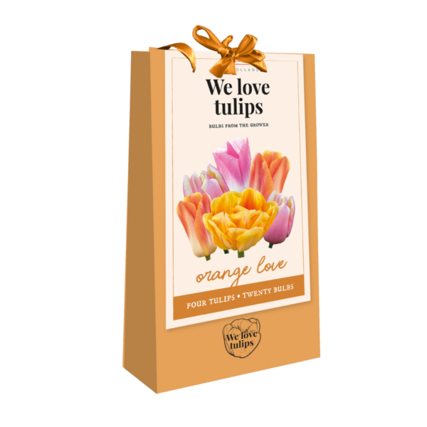 oranje_tulpenbollen