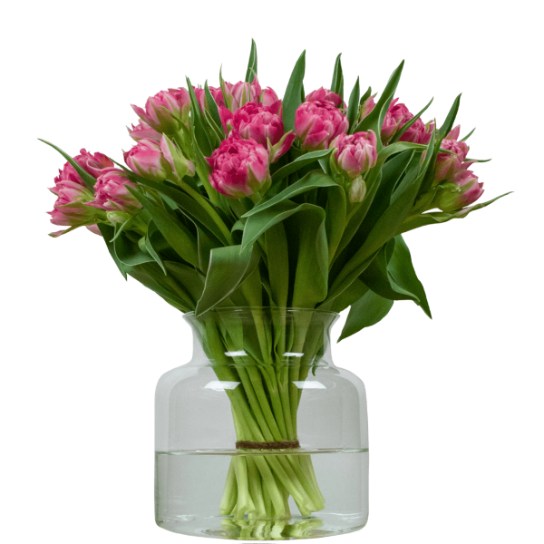 dubbele roze tulpen