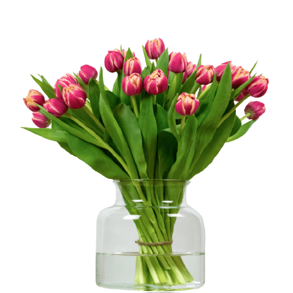 multicolour dubbel tulpen