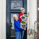 Van bol tot bloem