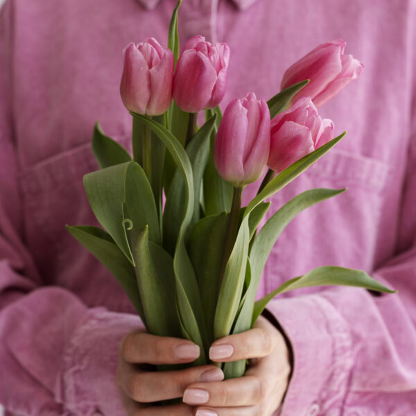 Zakelijke Tulpen