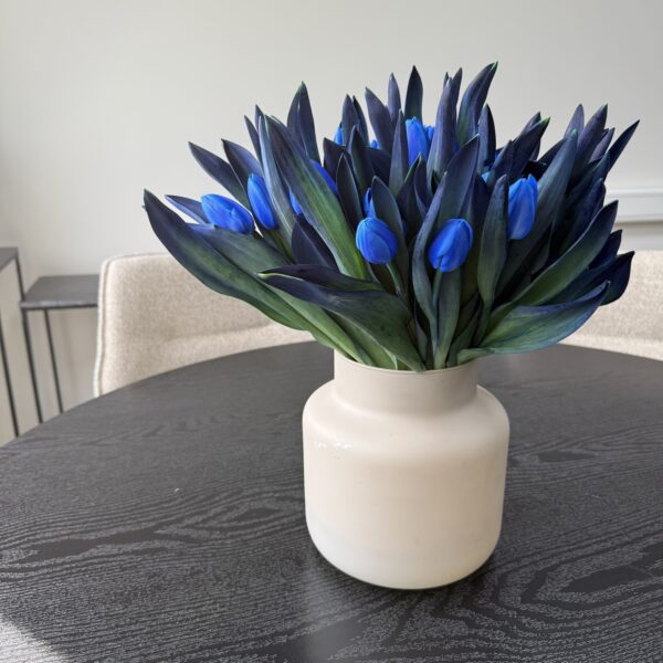 blauwe tulpen