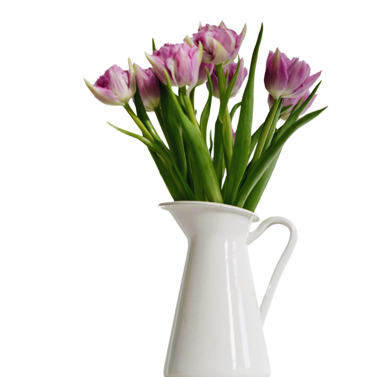 Tulpen boeketten