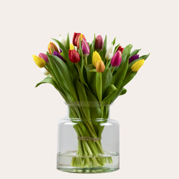 tulpen bossen
