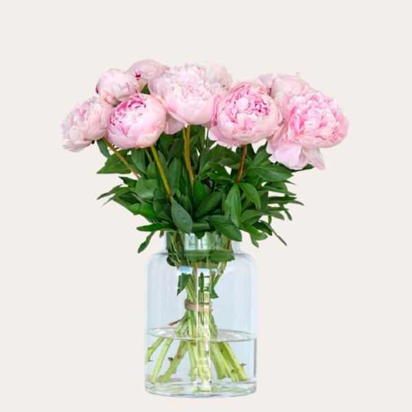 meer tulpencadeaus
