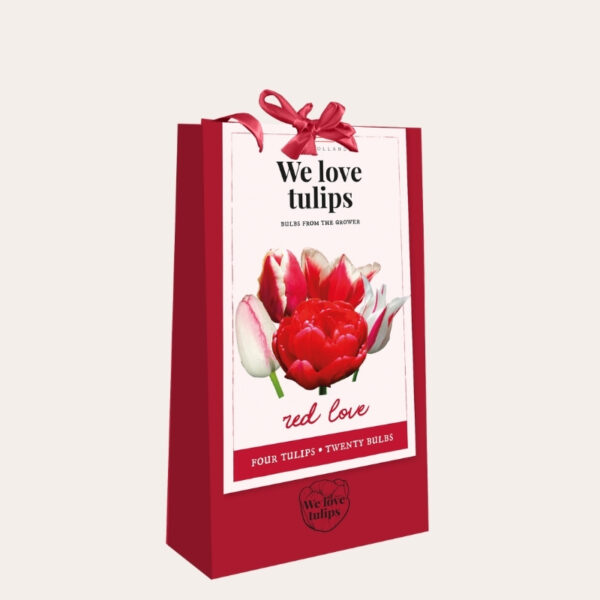Red_love_tasje